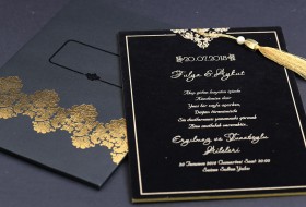 Alyans Davetiye 2004