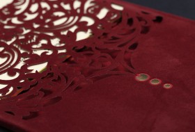 Alyans Davetiye 2010