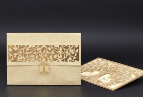 Alyans Davetiye 2017