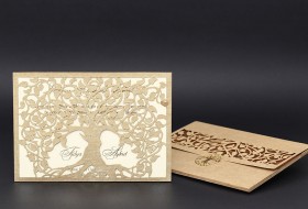 Alyans Davetiye 2017