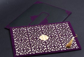 Alyans Davetiye 2025