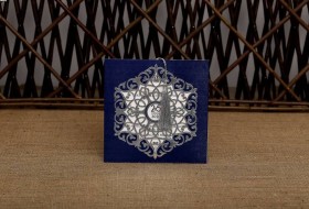 Aras Sünnet Davetiyesi 4980