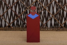 Aras Sünnet Davetiyesi 4990