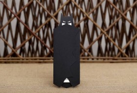 Aras Sünnet Davetiyesi 4991