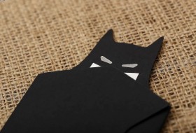 Aras Sünnet Davetiyesi 4991