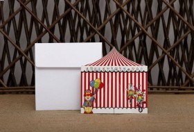 Aras Sünnet Davetiyesi 4992