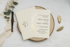 Ekonom Davetiye 9229