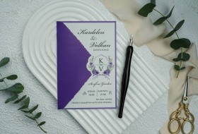 Ekonom Davetiye 9351