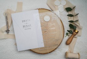 Ekonom Davetiye 9364