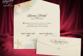 Popular Davetiye 2701