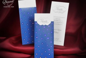 Sedef Sünnet Davetiyesi 6224