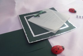 Kampanyalı Davetiye 70747