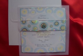 Kampanyalı Sünnet Davetiyesi 80876