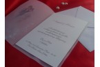 Discount Wedding Invitations 60312